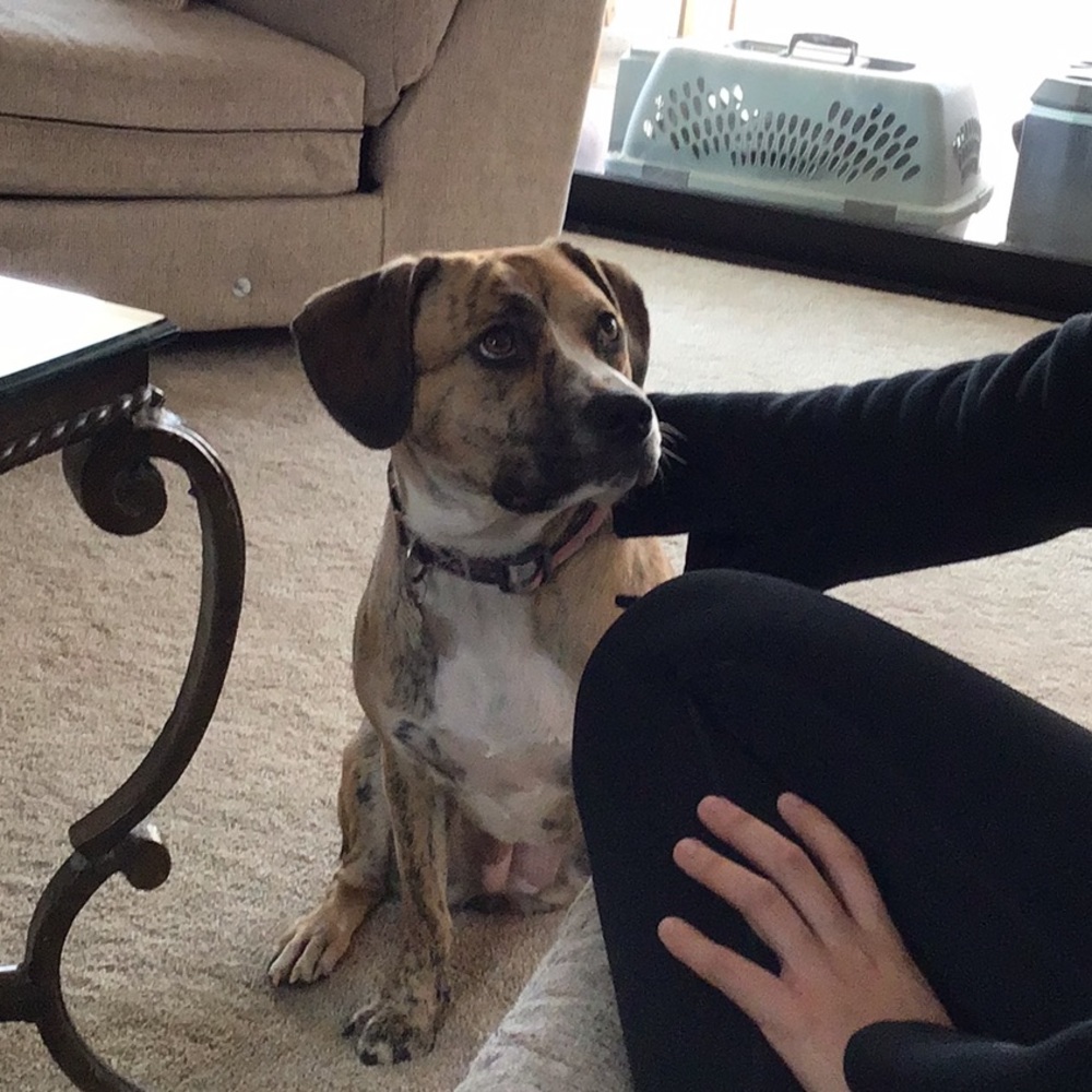 Meet your Posher, Paulette